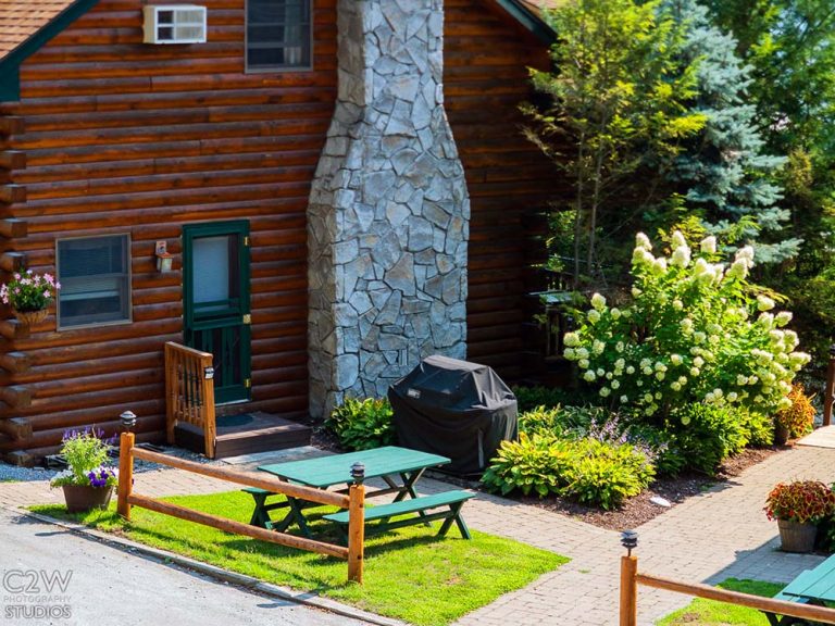 Log cabin with stone chimney, green door, patio, grill, and garden with shrubs and flowers.