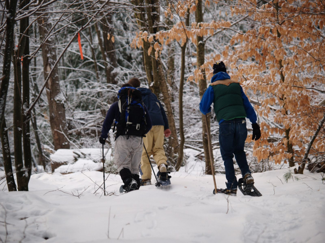 Snowshoeing in the woods